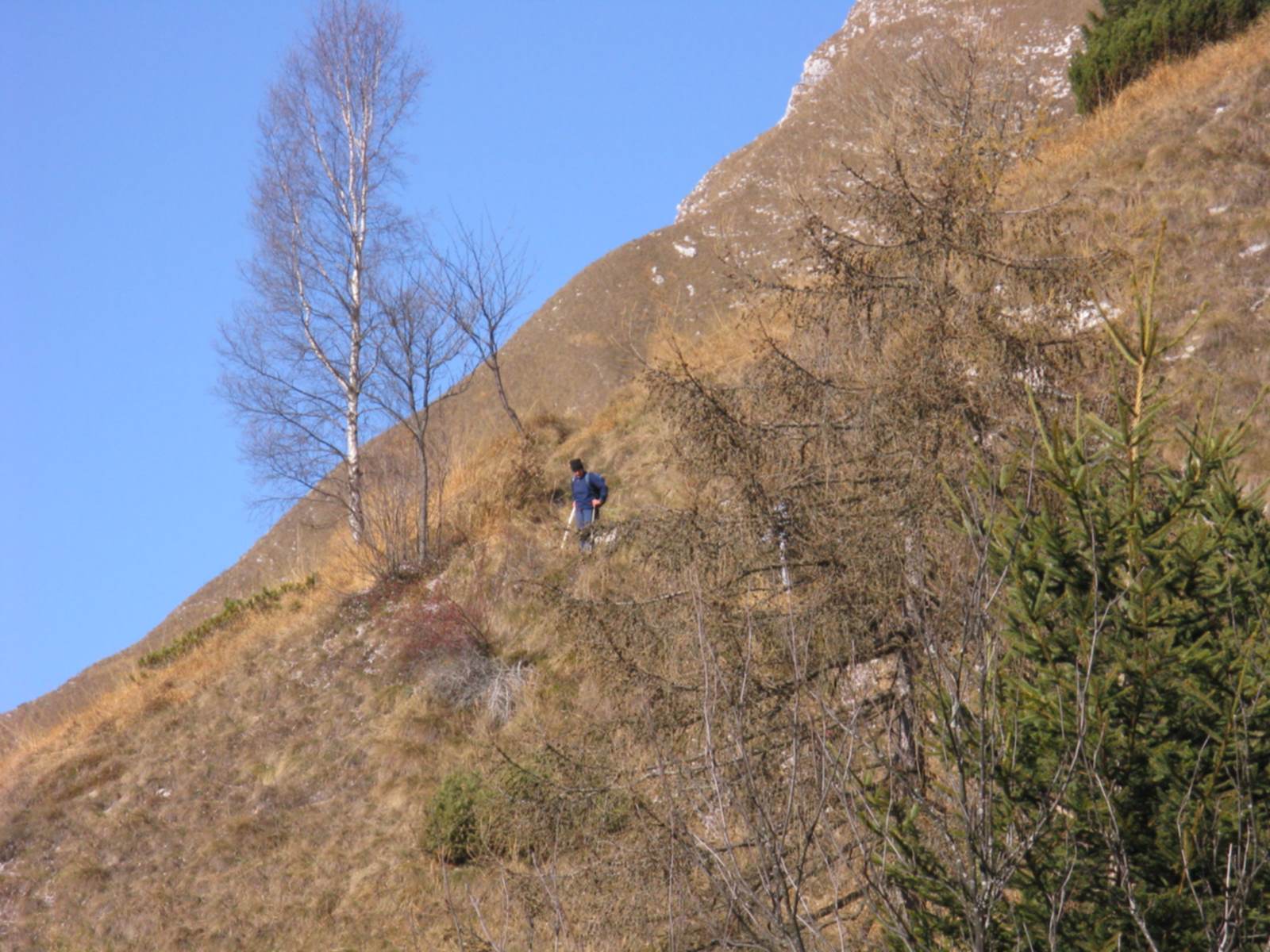 Monte Terne: bel Panorama sul gruppo della Schiara